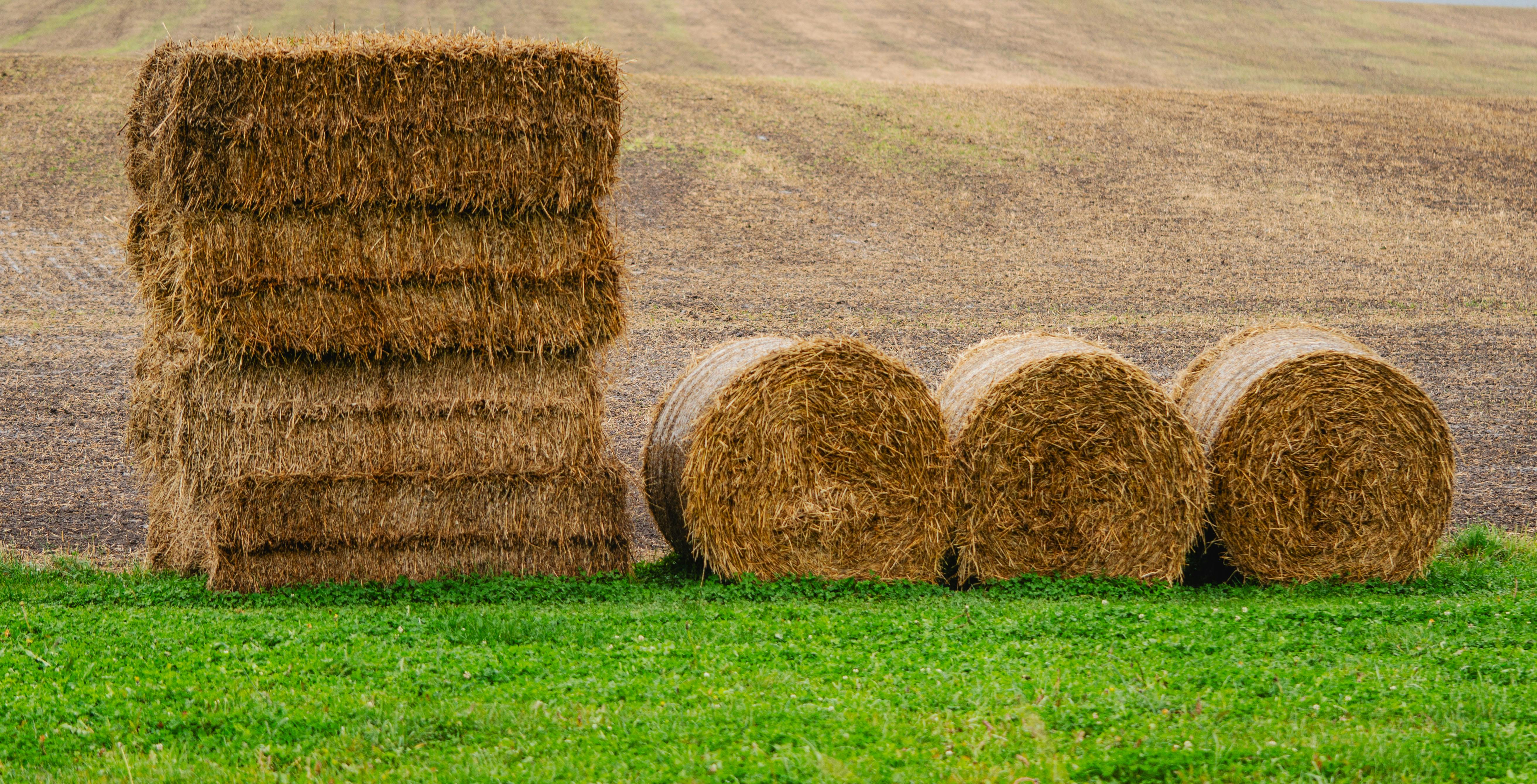 Agricultural business operations