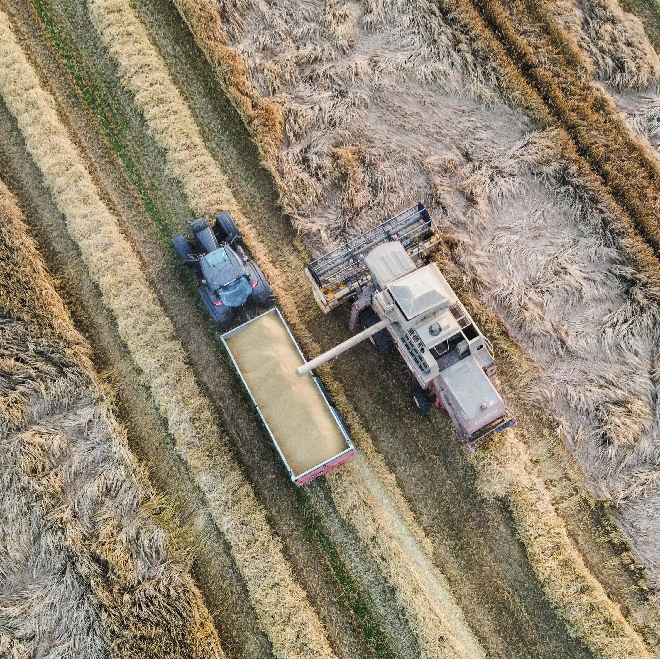 Agricultural consulting services